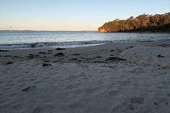 IMG_1952