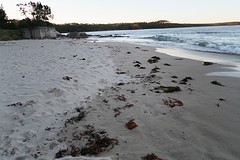IMG_1954