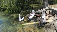 IMG_2091