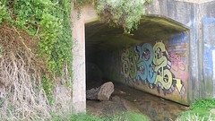 IMG_2251