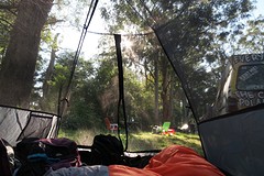 IMG_2551
