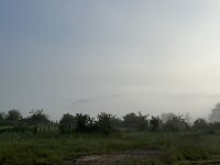 En mistig