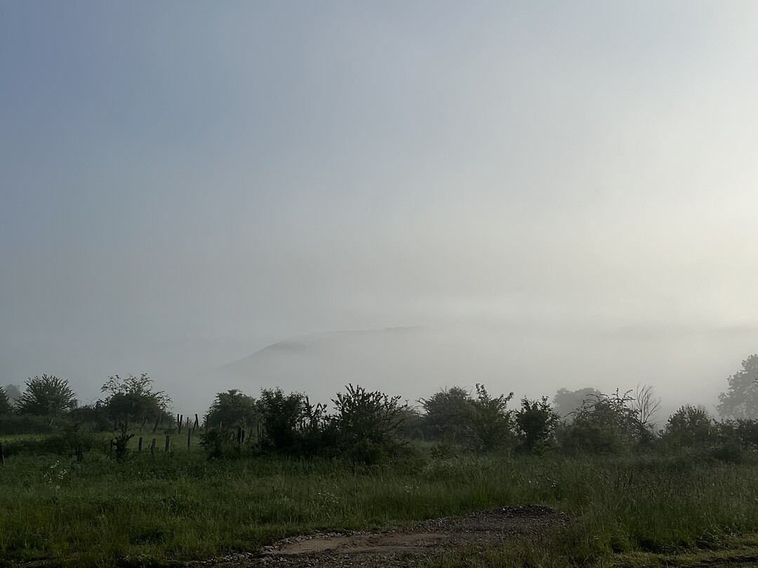 En mistig