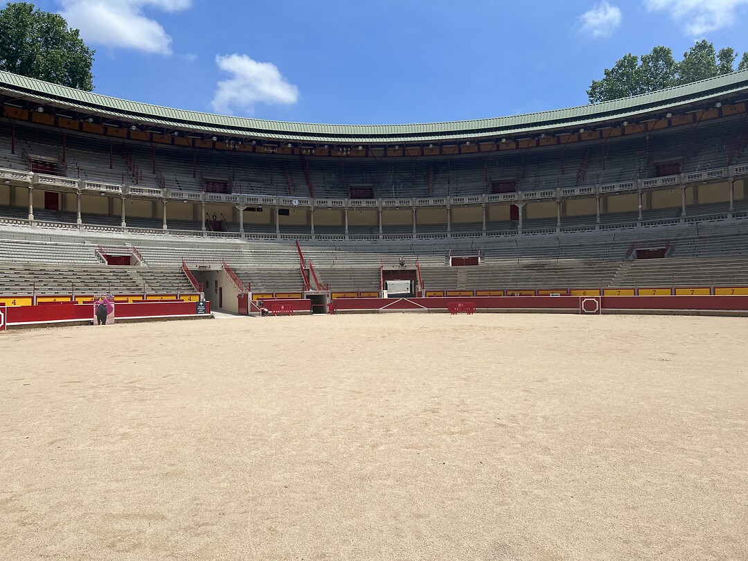 Arena