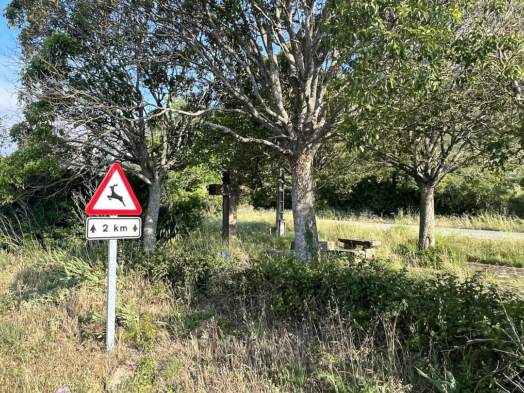 Maneru
