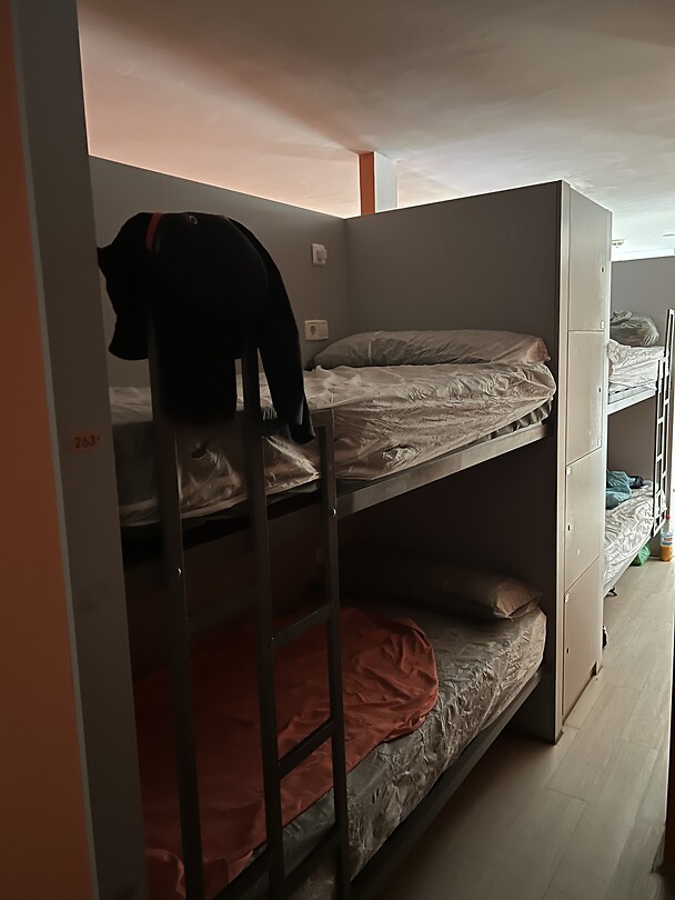 Bed