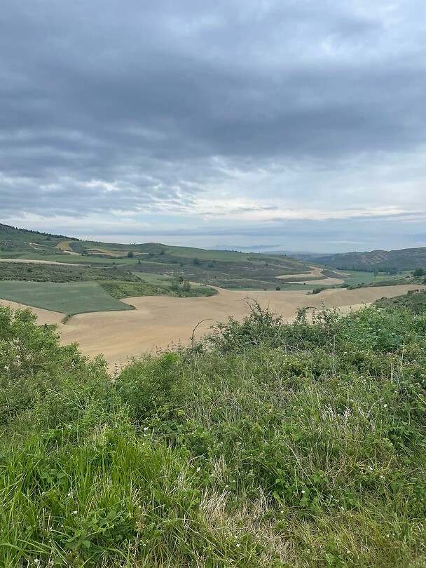 Uitzicht