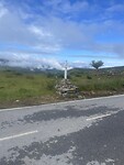 Manjarin