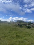 Manjarin