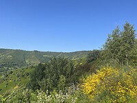 La Laguna