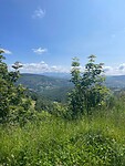 Alto do Poio
