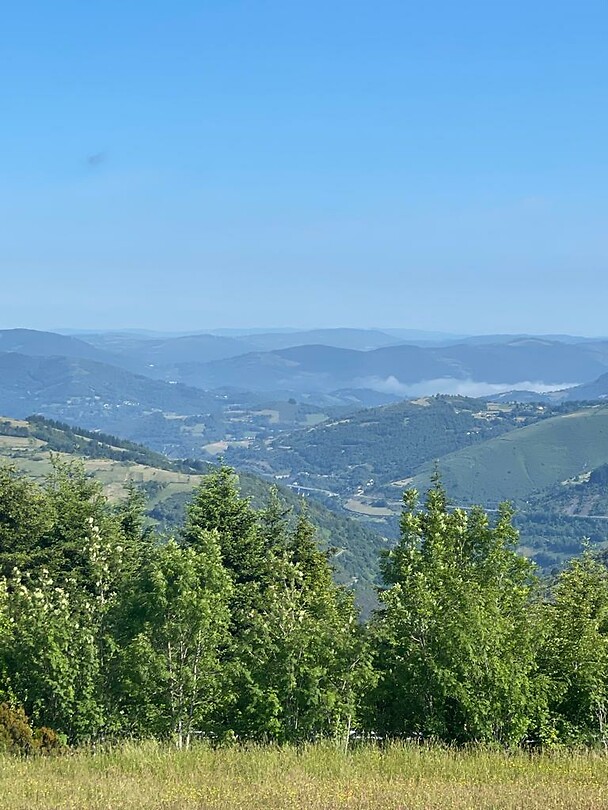 Cebreiro
