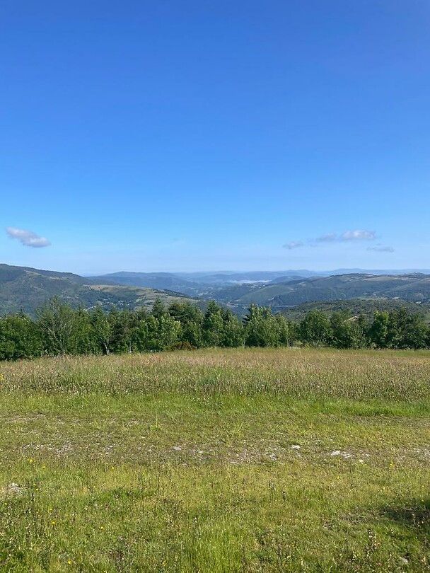 Cebreiro