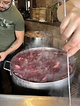 Pulpo