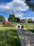 Coevorden
