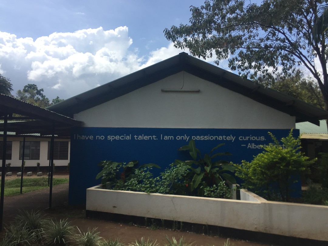 INternational School Moshi