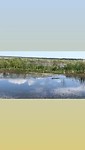 Lake apopka wild life