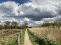 Wandeling in Salland