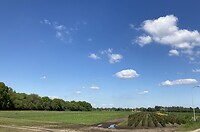Rondje fietsen: welkom in Epe