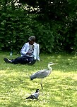 Vondelpark Amsterdam