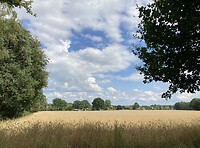 Tussen de buien door wandelen op de Veluwe