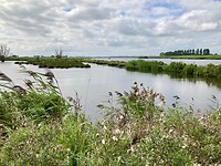 IJsseldelta net voor Kampen