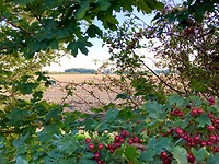 De herfst komt er aan