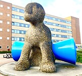 Gigant allert Meppel