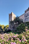 Castillo Sohail