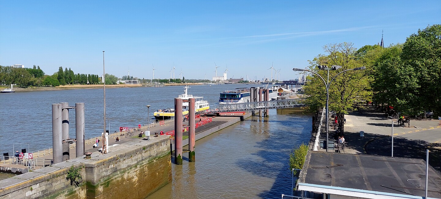 De Schelde