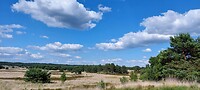 De Veluwe