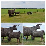 Natuurlijke kunst