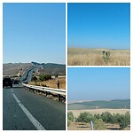 20221101_214831-COLLAGE