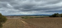 Verstilt landschap