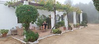 Koffie op het terras