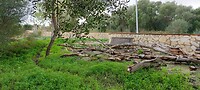 Stormschade