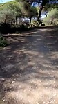 Fietstocht moeras van Rio Piedras