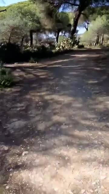Fietstocht moeras van Rio Piedras