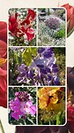 20230513_213327-COLLAGE
