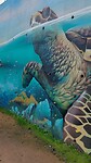20231208_143141_exported_6933