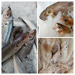 20231215_235651-COLLAGE