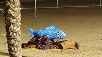 20240213_224408_exported_0