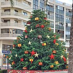20241206_151314_Original