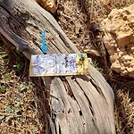 De geocache….gevonden