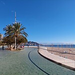 20241216_125159_Original