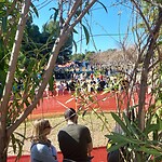 20250119_133742_Original