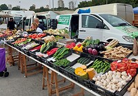20250122_123920_Original