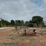 20250303_131413_Original