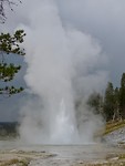 fullsizeoutput_665f