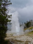 fullsizeoutput_6660